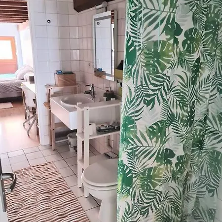 Duplex Atypique Loft 6 Lyon