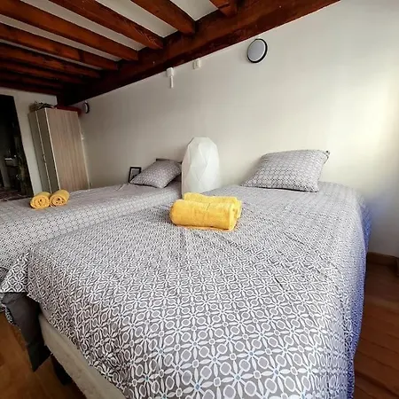 Duplex Atypique Loft 6 Apartment