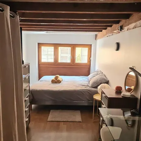 Duplex Atypique Loft 6 * 리옹